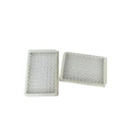 Továrna Elisa Plate Wells